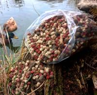 Пеллетс карповый 