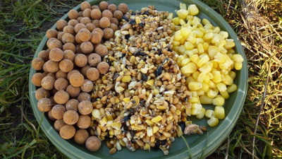 Прикормка для рыбы